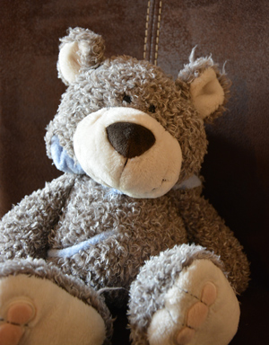 Teddy